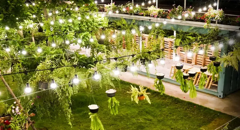M3M Soulitude Party Lawns