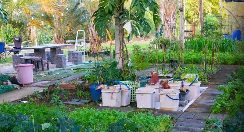 M3M Soulitude Sector 89 Organic Garden